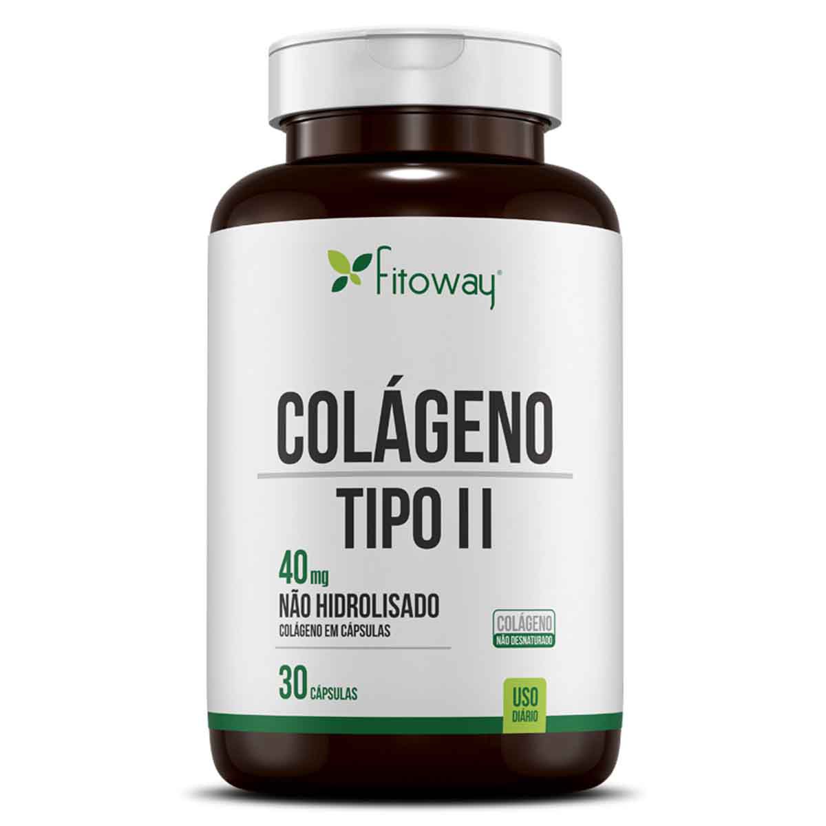 Colageno Tipo Ii - Clean 30 Cápsulas - Fitoway Menor preço em Colageno Tipo Ii - Clean 30 Cápsulas - Fitoway