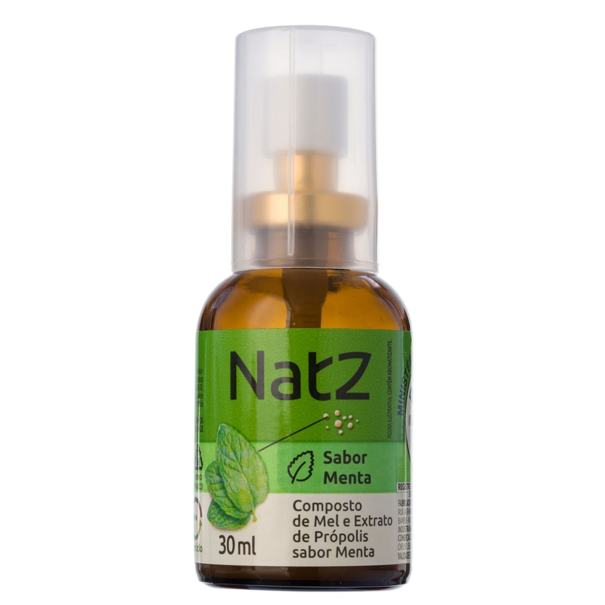 Spray de Garganta Mel com Própolis Sabor Menta Natz: veja preço e ...